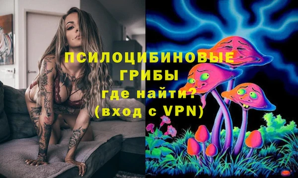PSILOCYBIN Лиски