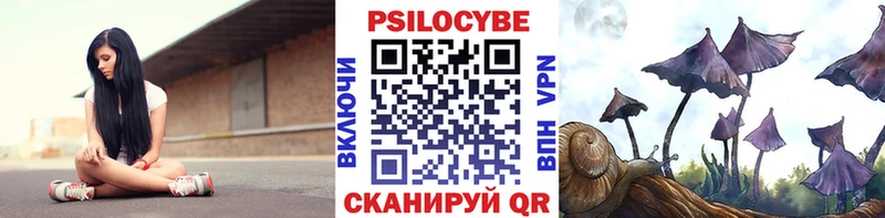 Галлюциногенные грибы прущие грибы  цены наркотик  Рыльск 